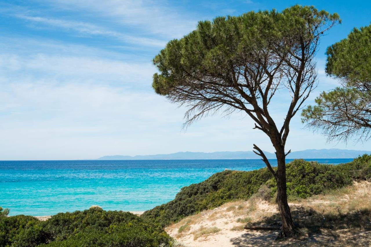 Appartamento Con Vista Mare A Terramala Terra Mala Exteriér fotografie